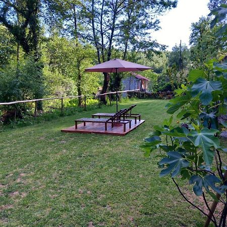Quinta Das Bollotas Βίλα Fafe Εξωτερικό φωτογραφία
