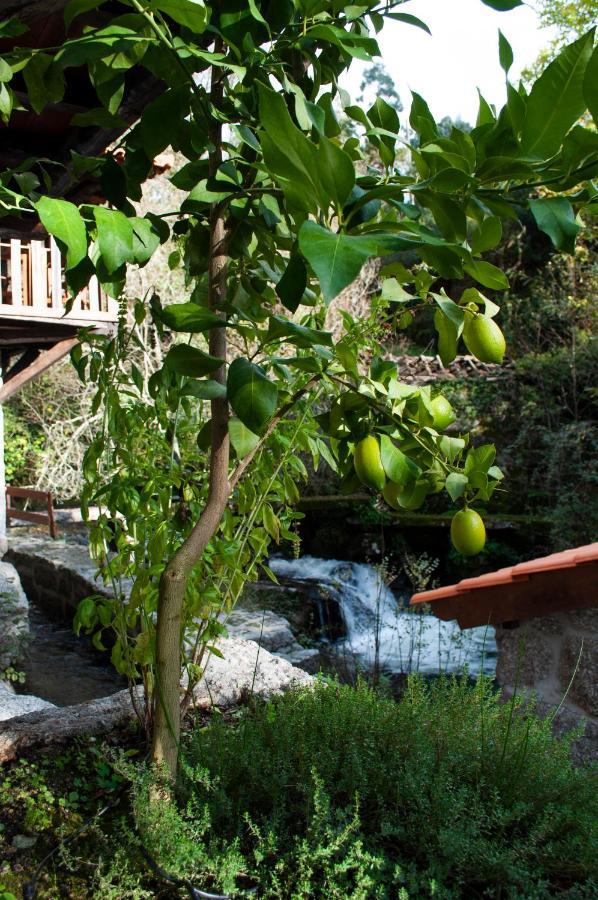 Quinta Das Bollotas Βίλα Fafe Εξωτερικό φωτογραφία