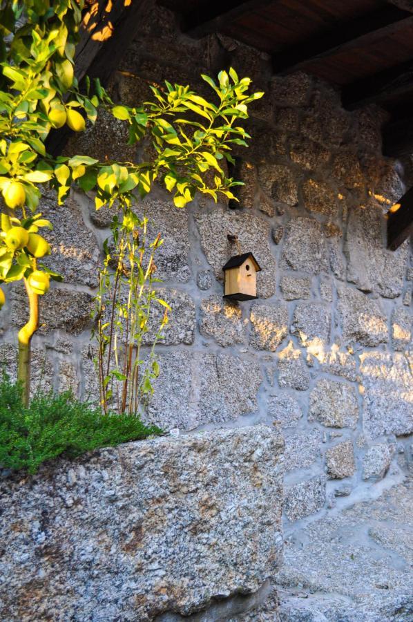 Quinta Das Bollotas Βίλα Fafe Εξωτερικό φωτογραφία