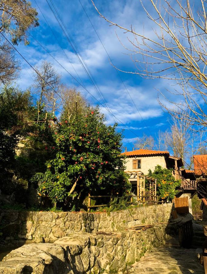 Quinta Das Bollotas Βίλα Fafe Εξωτερικό φωτογραφία